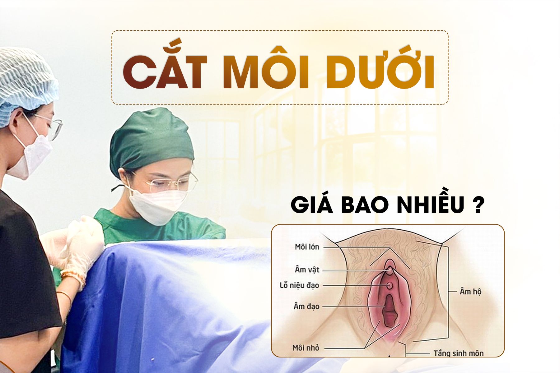 Cắt Môi Dưới Vùng Kín: Chi Phí Hợp Lý Là Bao Nhiêu?