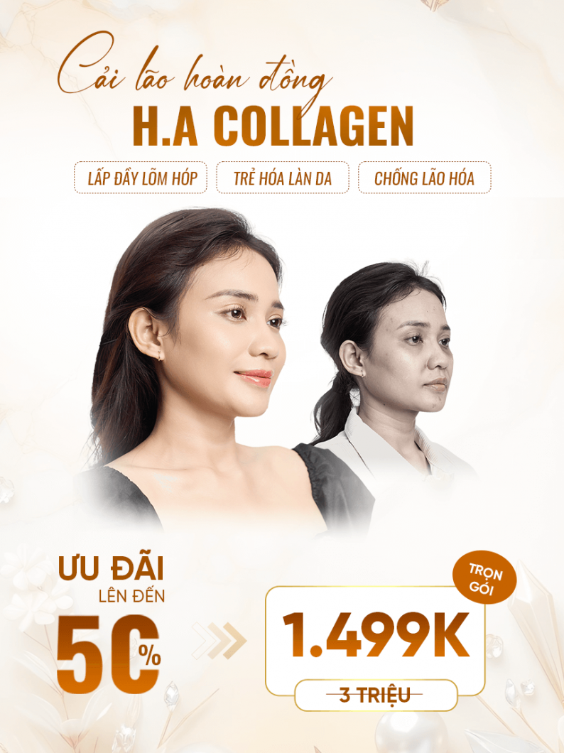 ha collagen