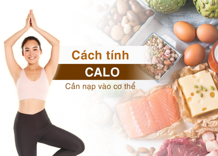 Cách Tính Calo Cần Nạp Vào Cơ Thể Để Kiểm Soát - Hỗ Trợ Giảm Cân