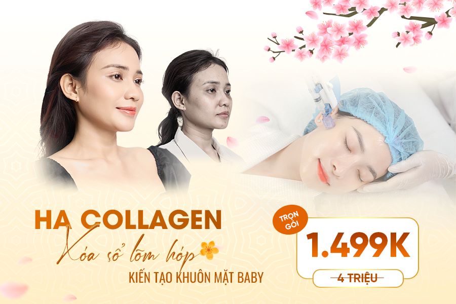 ha collagen