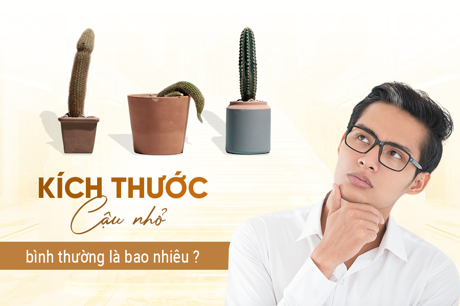 Kích thước dương vật bình thường là bao nhiêu